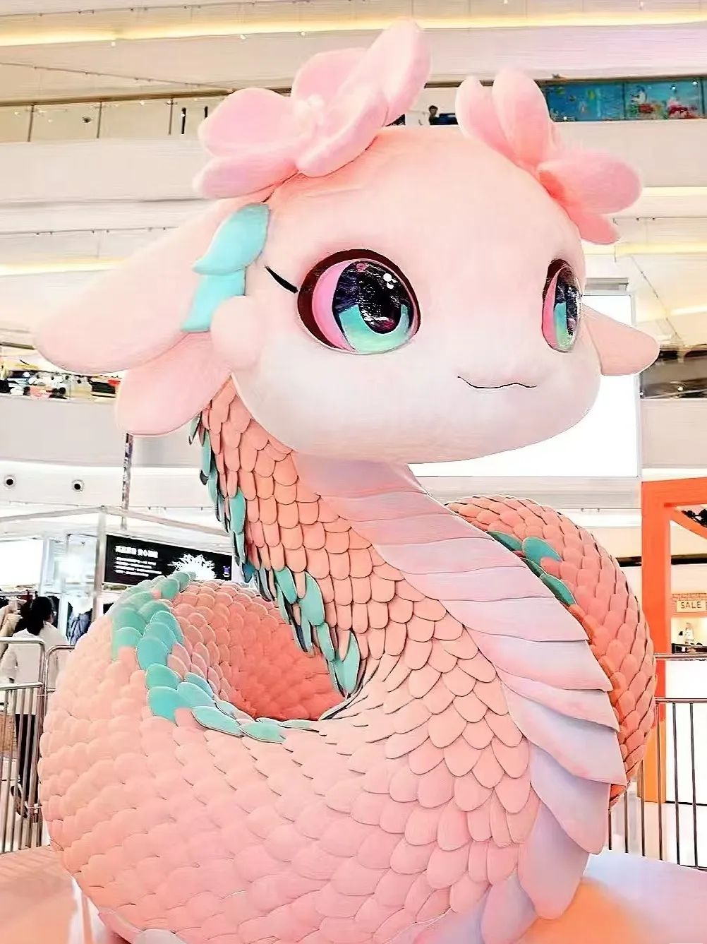 DƬ